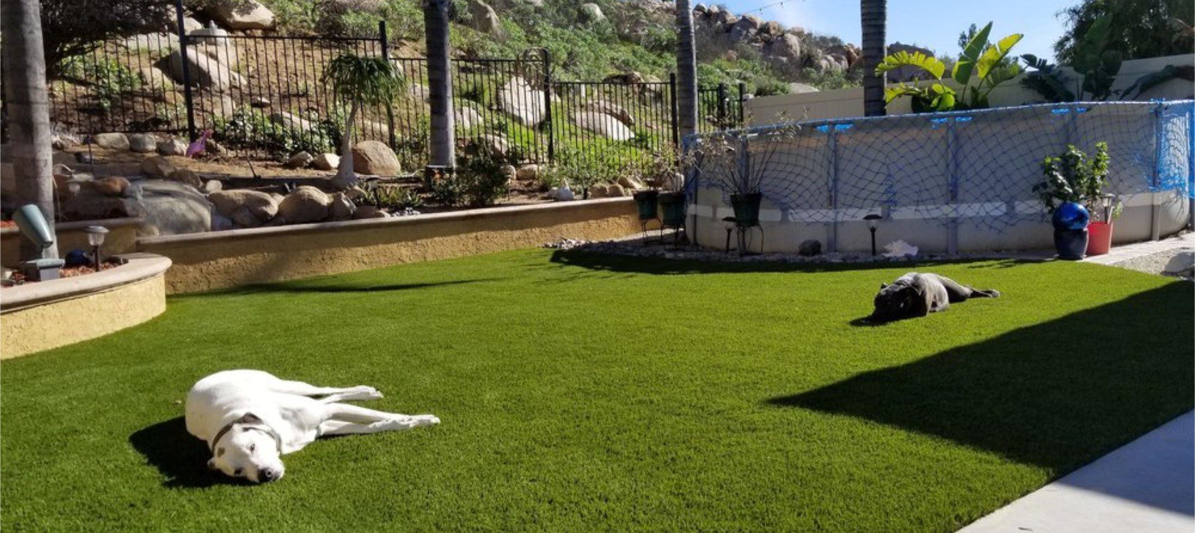 Pet Artificial Grass Landscapes for all pet areas, Temecula Artificial Grass