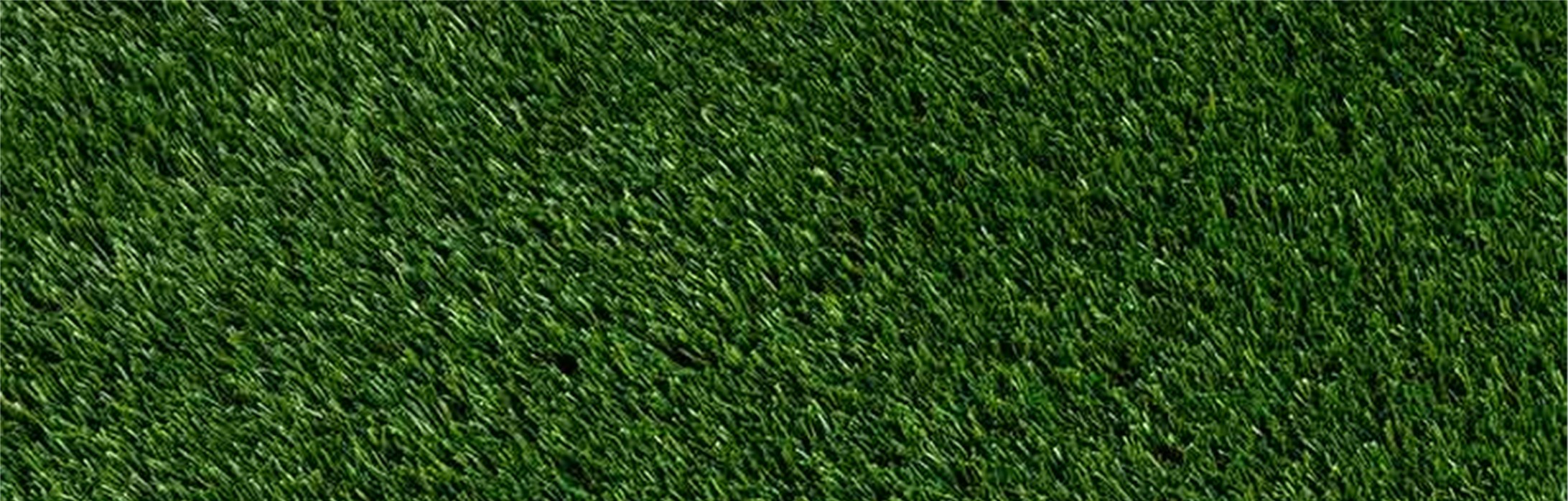 Oakmont Artificial Grass, Temecula Artificial Grass & Pavers