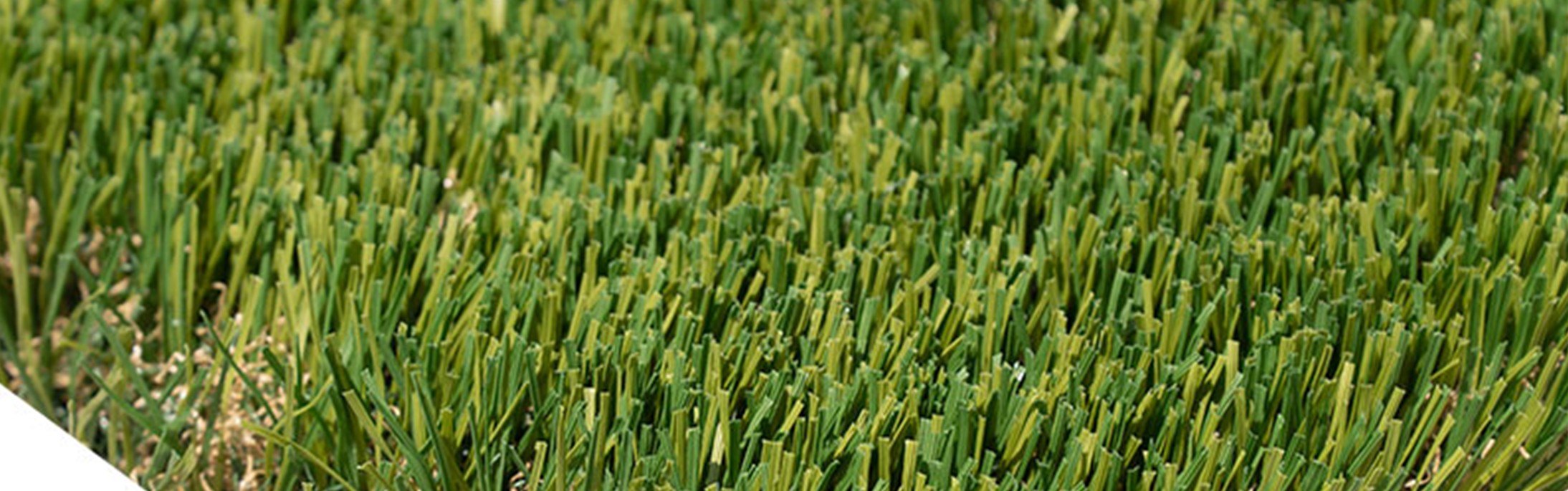 Oakmont Supreme Artificial Grass, Temecula Artificial Grass